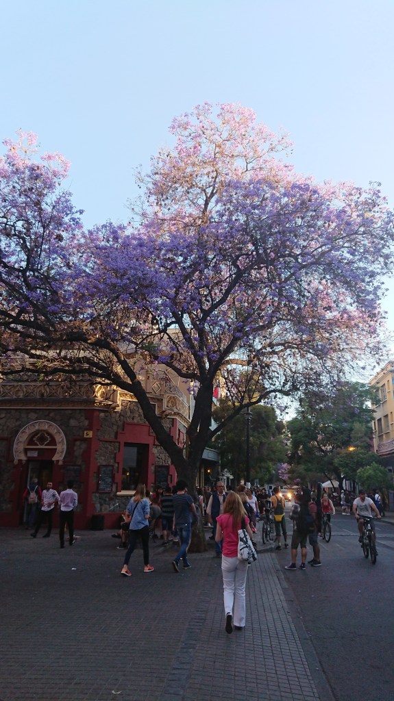 Um die Ecke unserer Unterkunft in Santiago