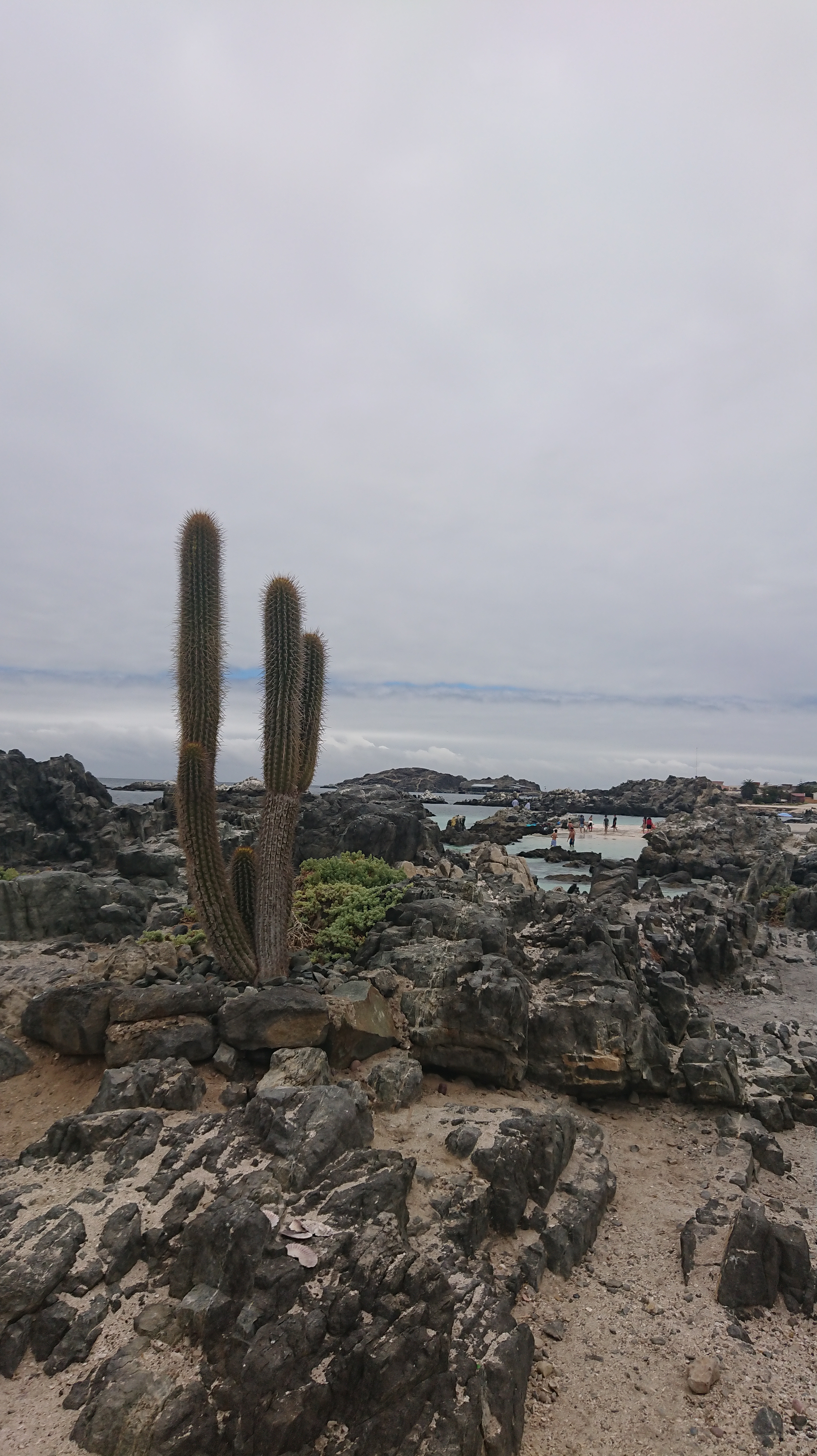 Natürlich ist es immer noch grau :D