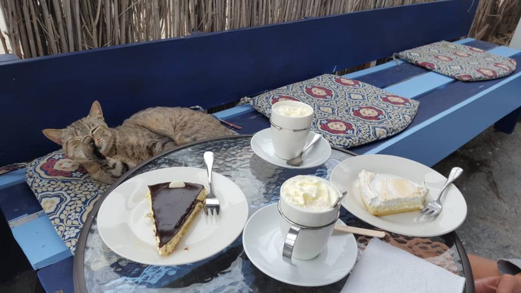 Mal wieder Pie de Limón, diesmal mit tierischer Verstärkung