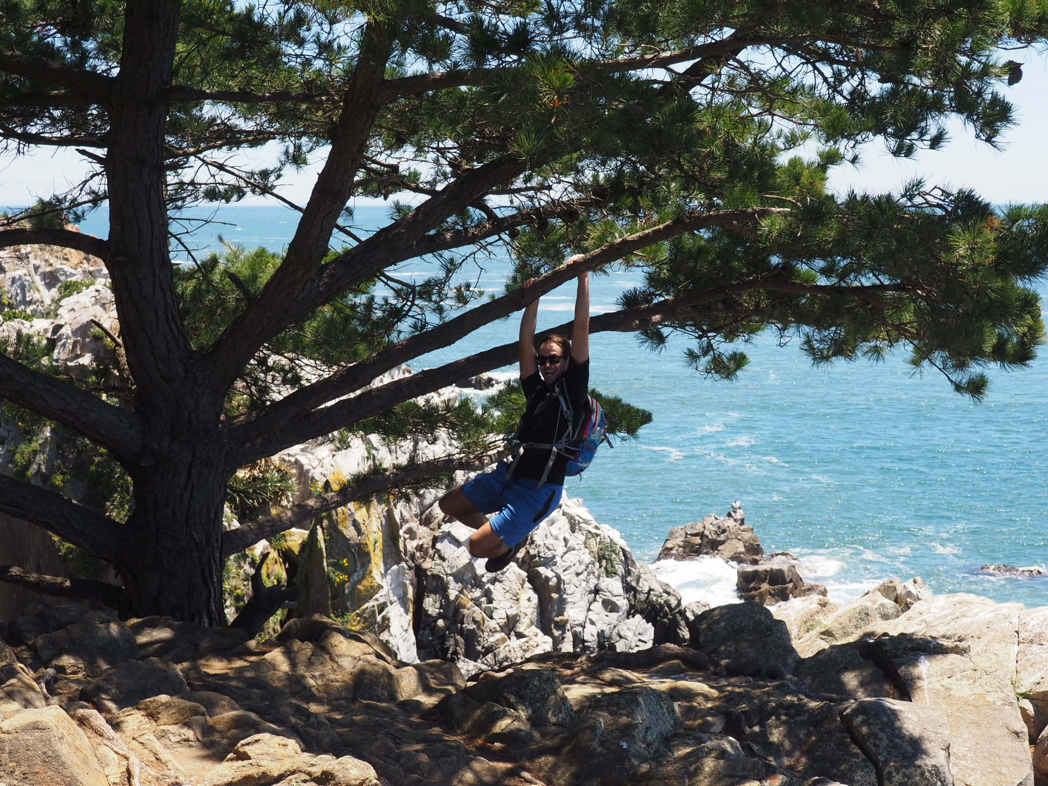 Kleine Äffchen gibt es hier übrigens auch!