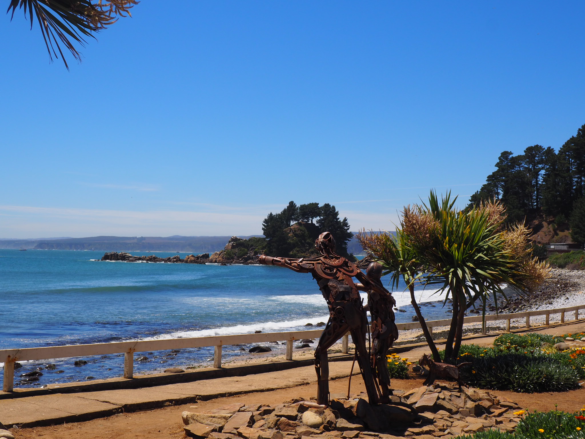 Beim Spaziergang am Strand gibt es einiges zu sehen.