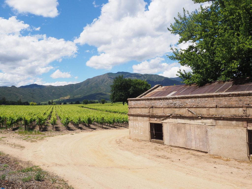 Traumhafte Ausblicke im Valle de Colchagua