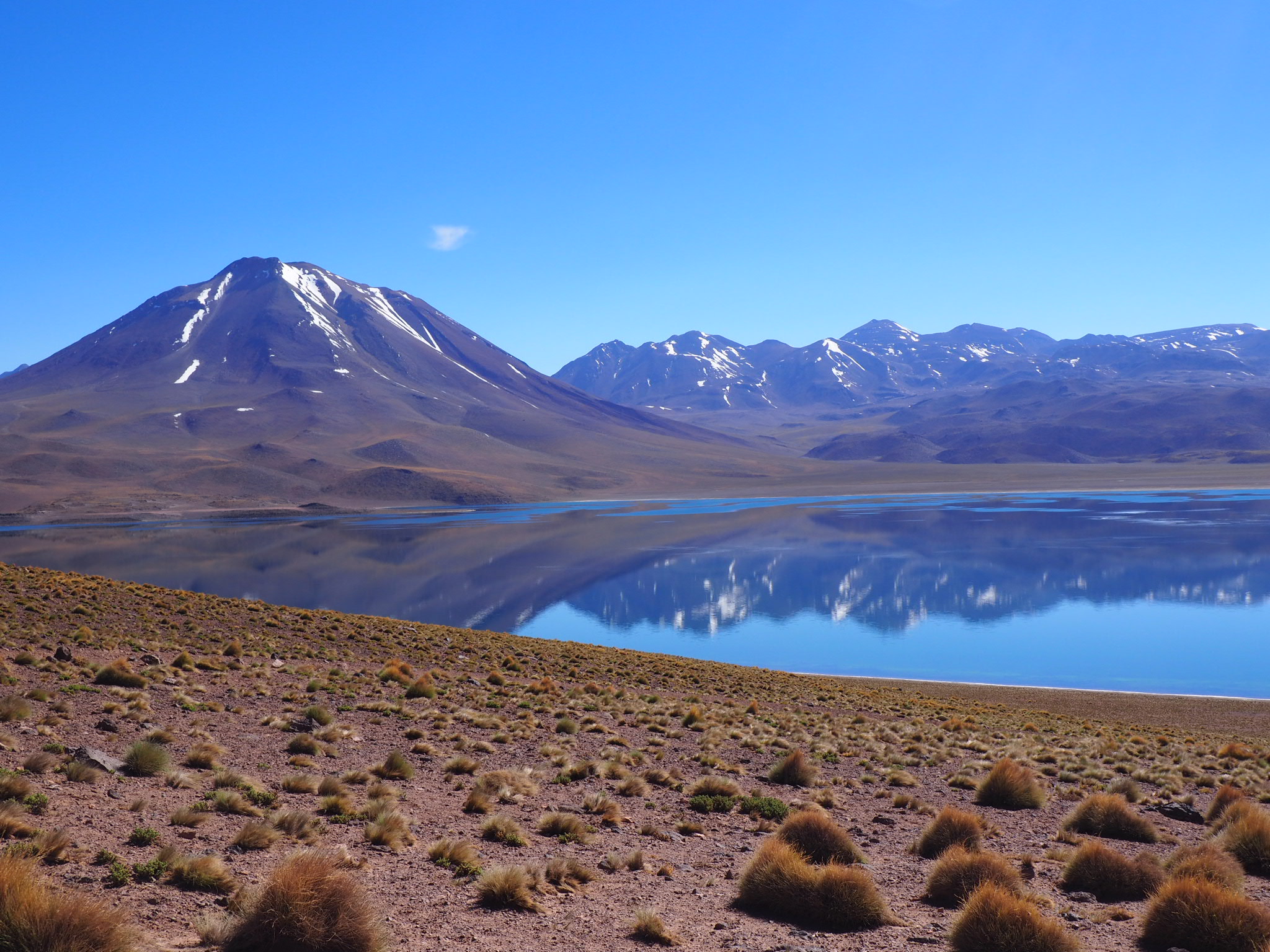 Laguna Miscanti
