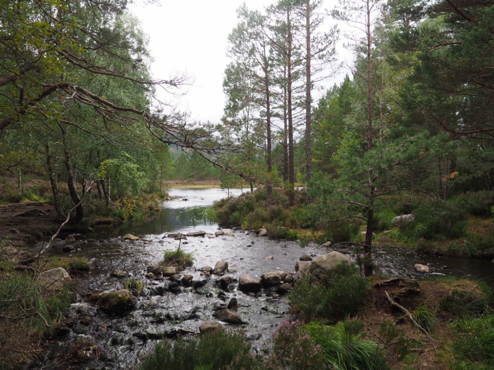 Zulauf des Loch an Eilean