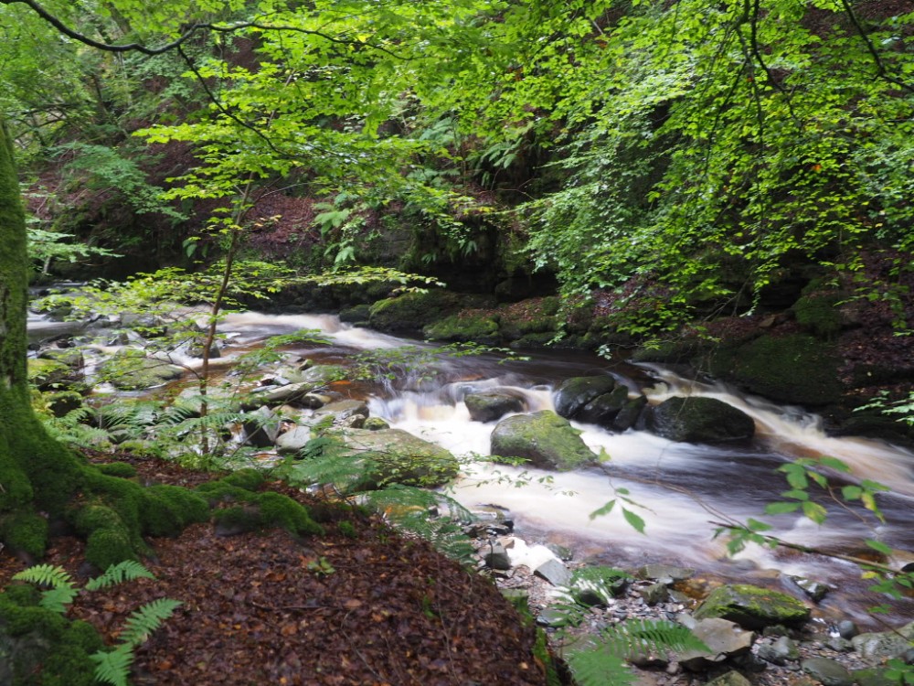Die Wasserfälle an den "Birks of Aberfeldy"
