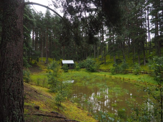 Natur im Newtonmore Highland Folk Museum