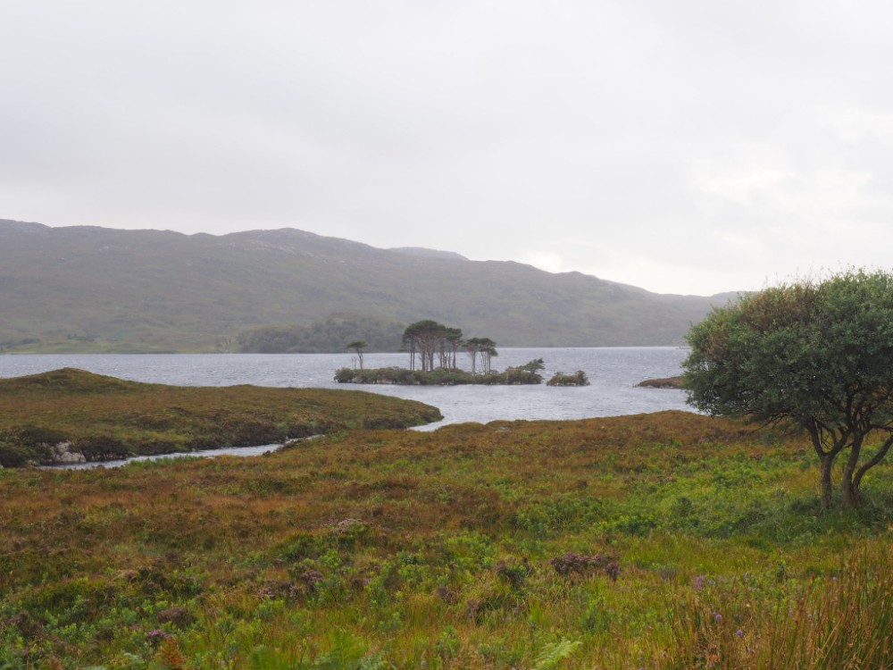 Und noch ein toller See mit Insel