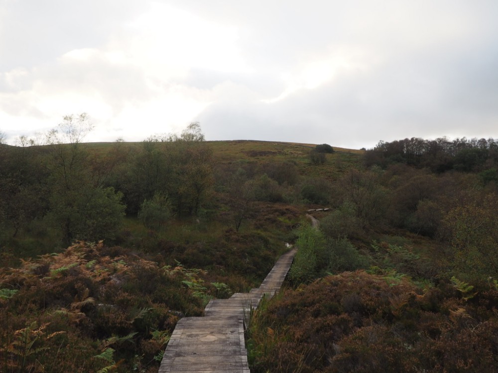 Spaziergang im Greenock Cut
