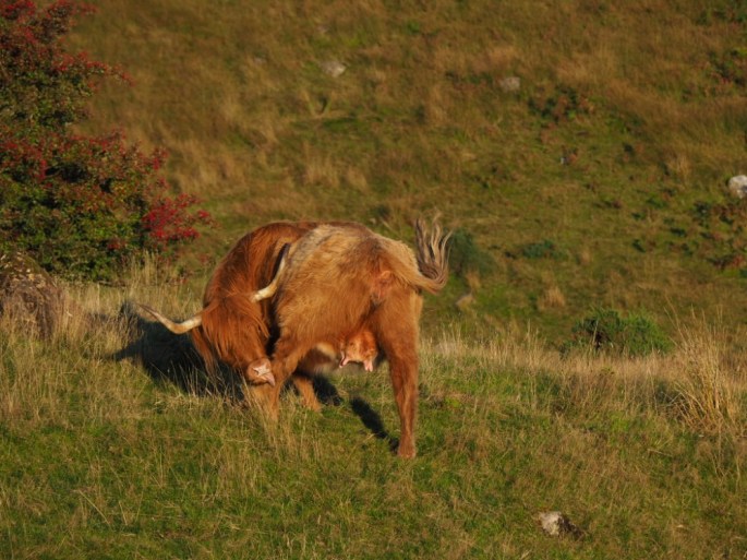 Eins meiner Lieblingsbilder des Urlaubs