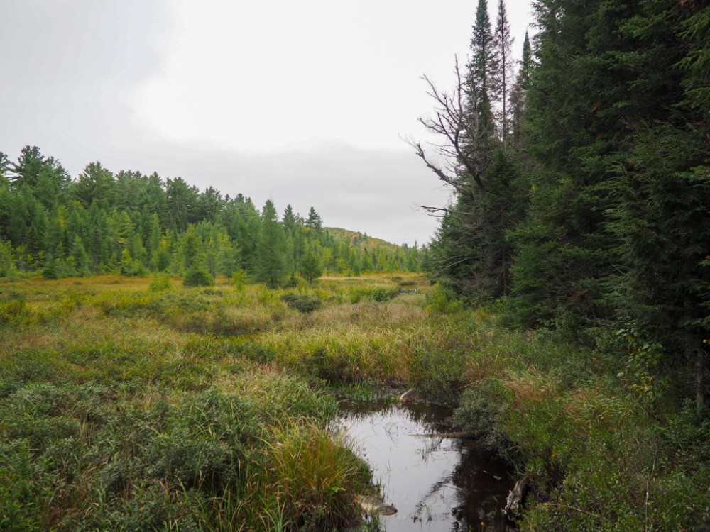 Der mystische Mizzy Lake Trail