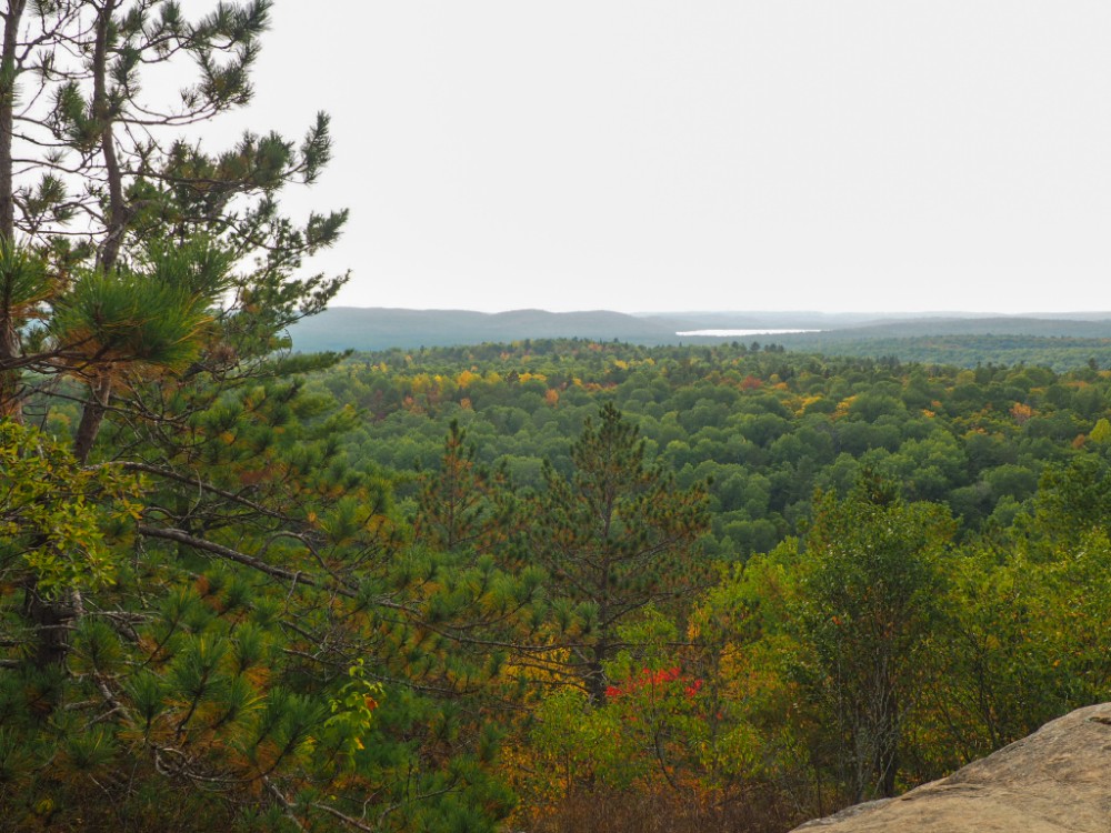 Der Lookout Trail hat seinen Namen zurecht