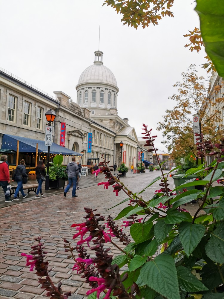 Der schöne Marché Bonsecours