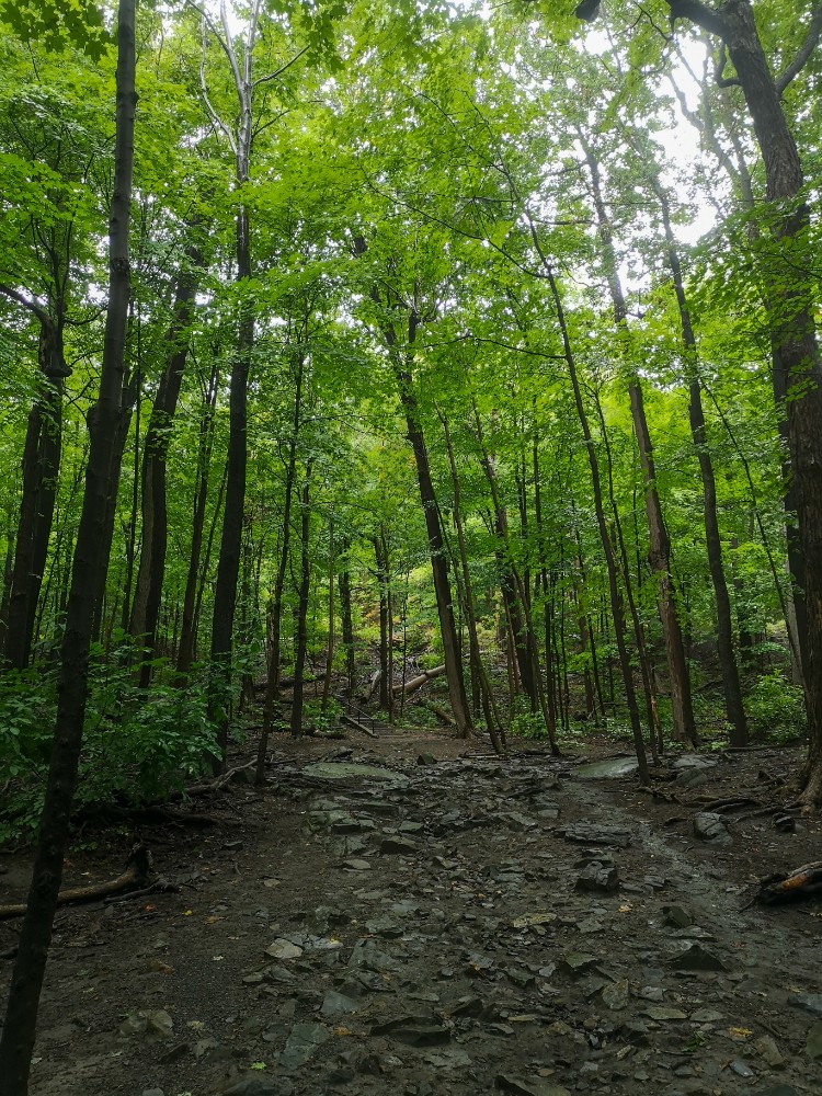 Ein traumhafter (aber ganz schön steiler) Wanderweg