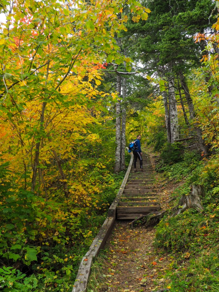 Erstmal durch den schönen bunten Wald hoch