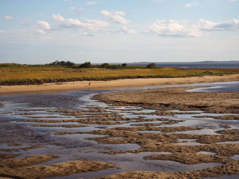 Tolle Landschaften im Kouchibouguac-Nationalpark