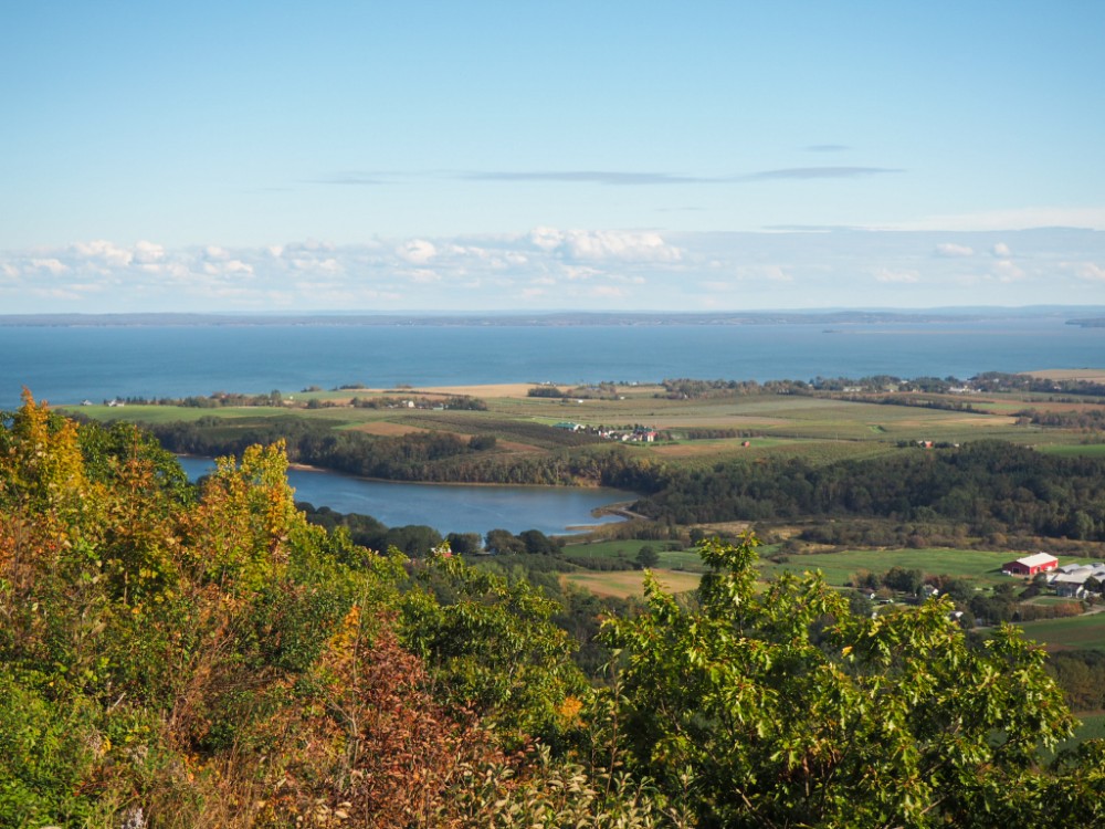 Blick auf die Bay of Fundy