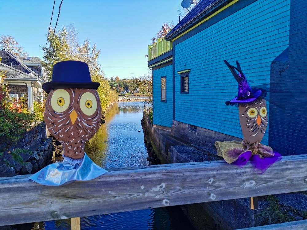In Mahone Bay werden sogar Eulen ausgestellt 😍