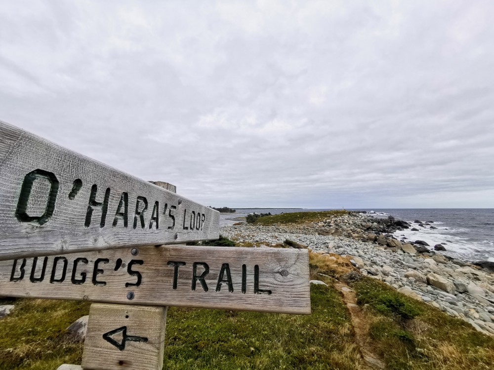 Die netten kleinen Wanderwege am Port Bickerton Lighthouse