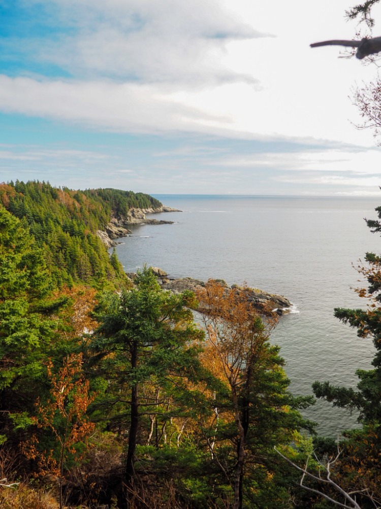 Toller Ausblick vom Middle Head Trail