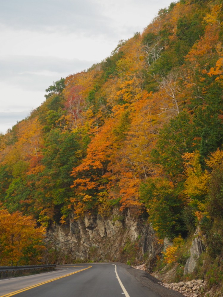 Der traumhaft schöne Cabot Trail