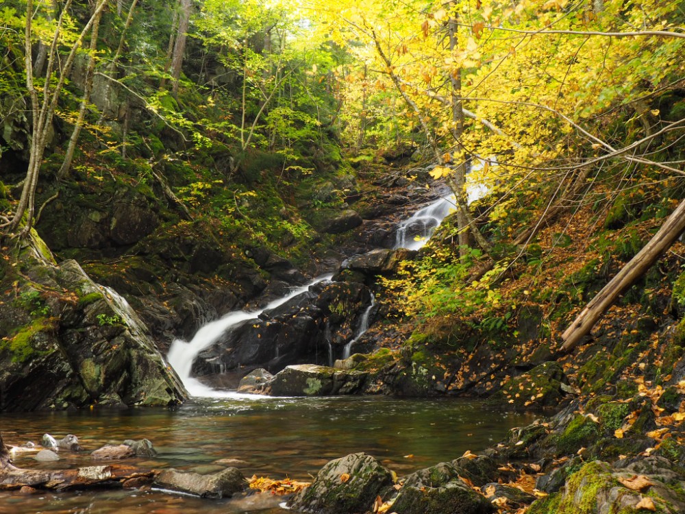 Der kleine Wasserfall am MacIntosh Brook