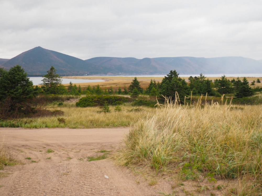 Der tolle Ausblick am Dingwall Beach