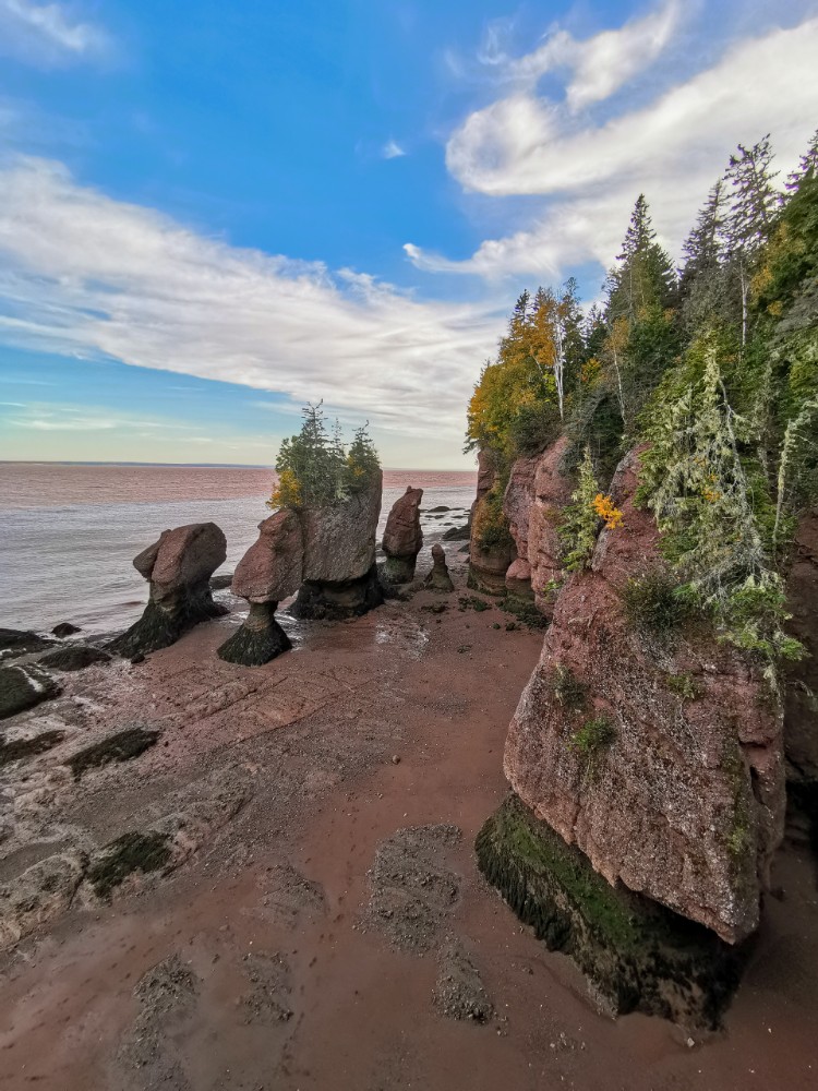 Blick auf die Hopewell Rocks