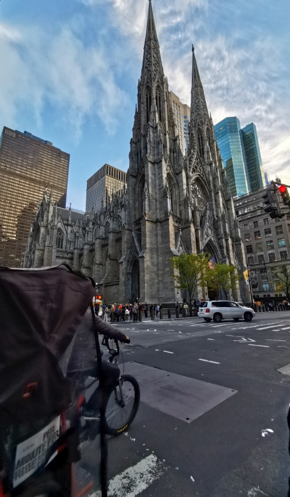 Die St. Patrick's Cathedral mitten in der Stadt