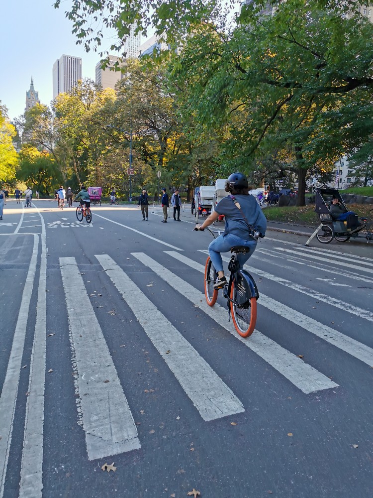 Durch den Central Park cruisen 😊