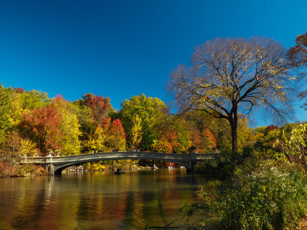 Die Now Bridge im traumhaften Herbstkleid