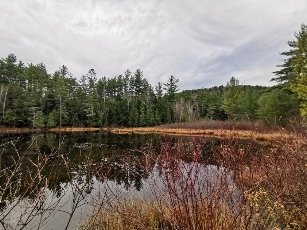 Ein kleiner See am Anfang der Wanderung