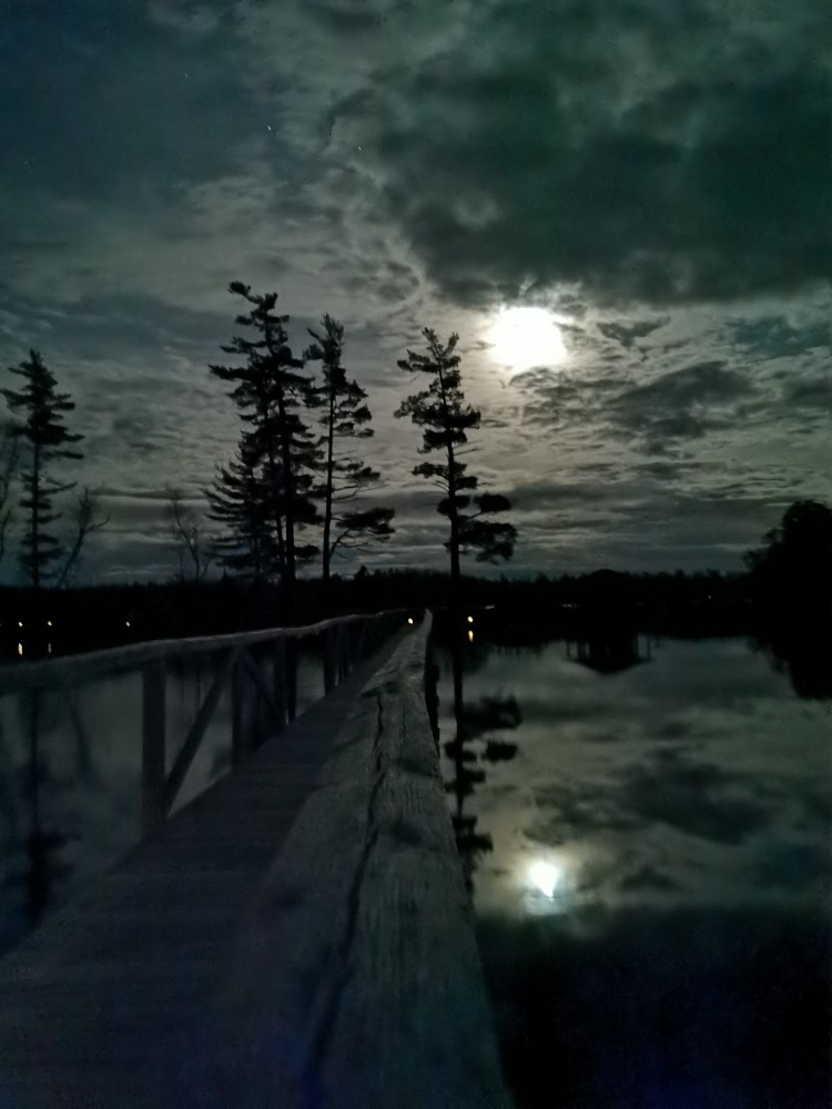 Osgood Pond im Mondlicht