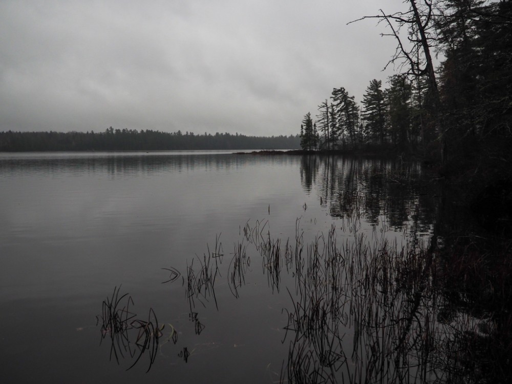 Osgood Pond im Nebel