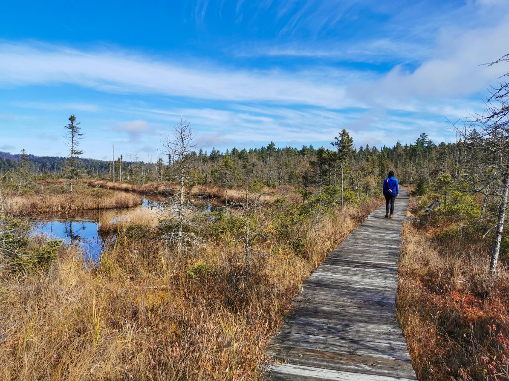 Der traumhaft schöne Boreal Life Trail