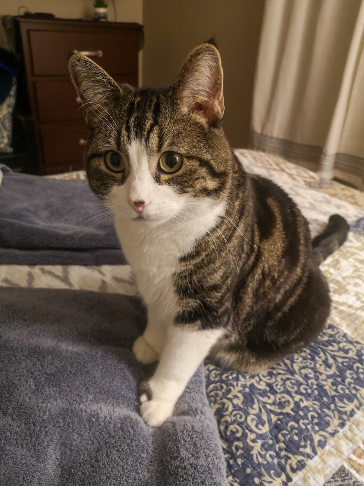 Tierische Gesellschaft gibt's auch - von Mr. Snickers