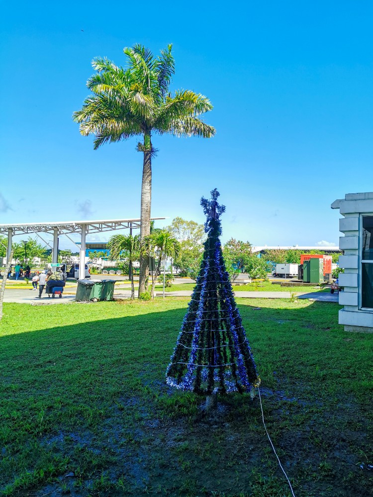 Hier gibts sogar auch nen Weihnachtsbaum