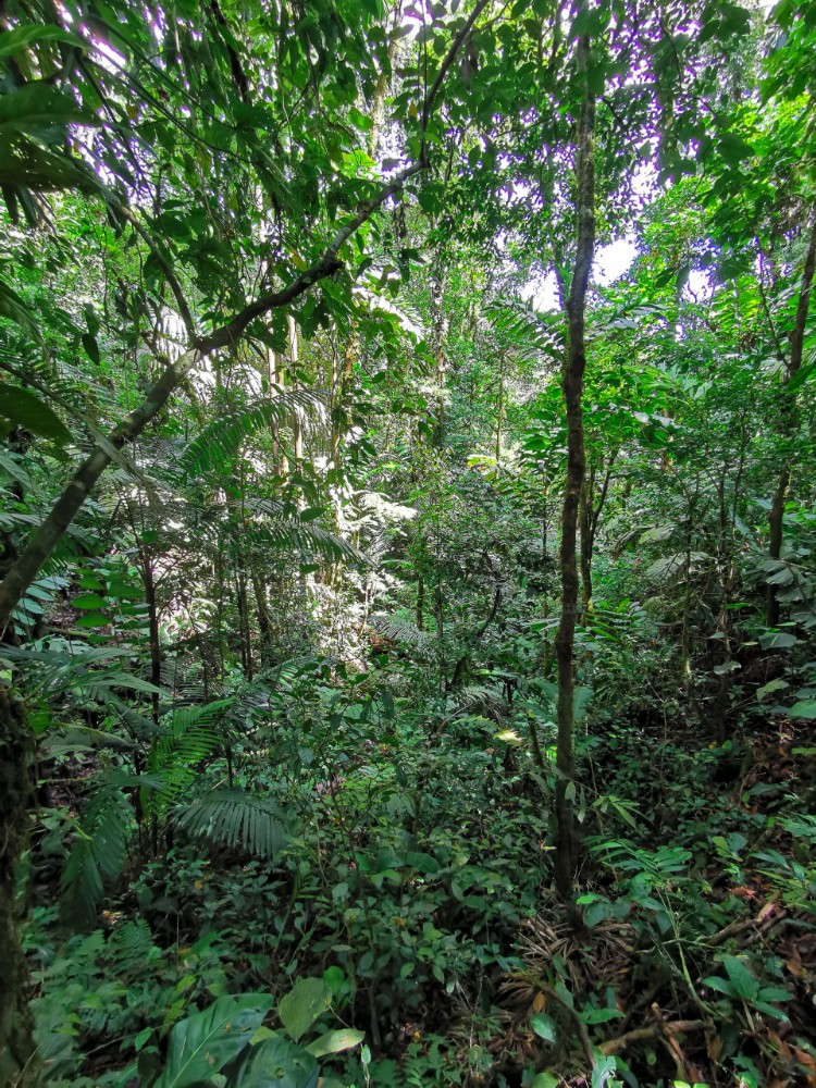 5000 shades of green (wenn das reicht)