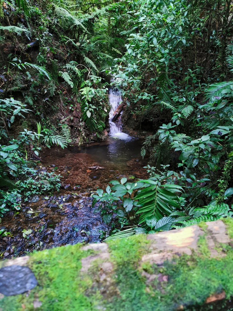 Wasserfälle gibt's hier überall