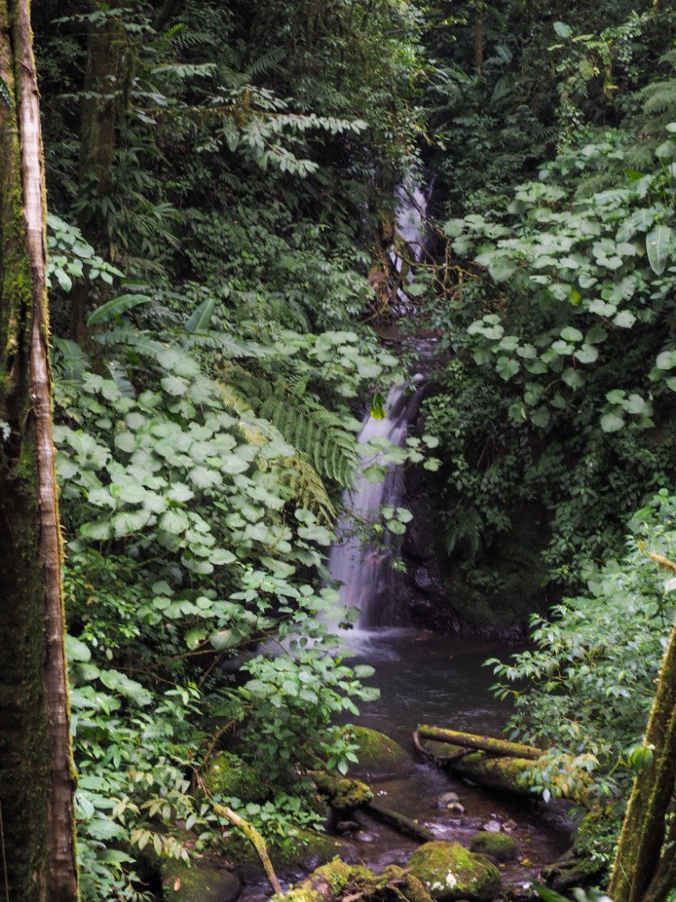 Der kleine Wasserfall