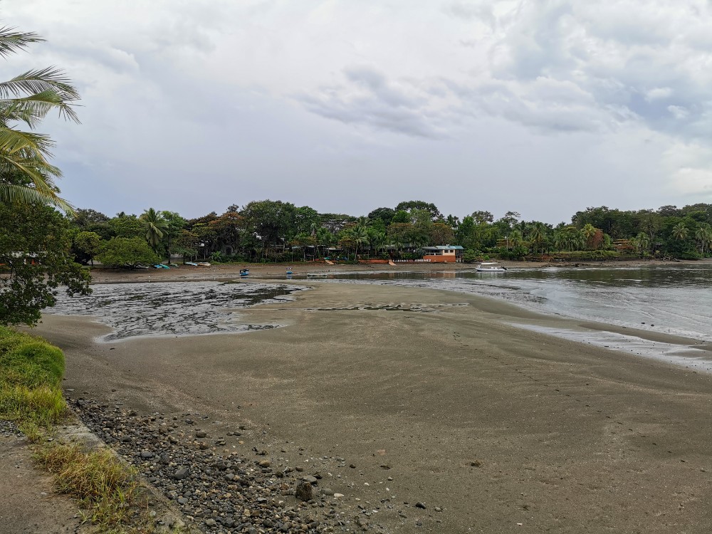 Die Bucht von Puerto Jiménez bei Ebbe