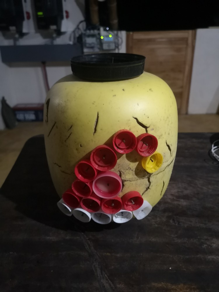 Die ganzen Plastikflaschen aus dem Meer haben hier auch mal etwas gutes