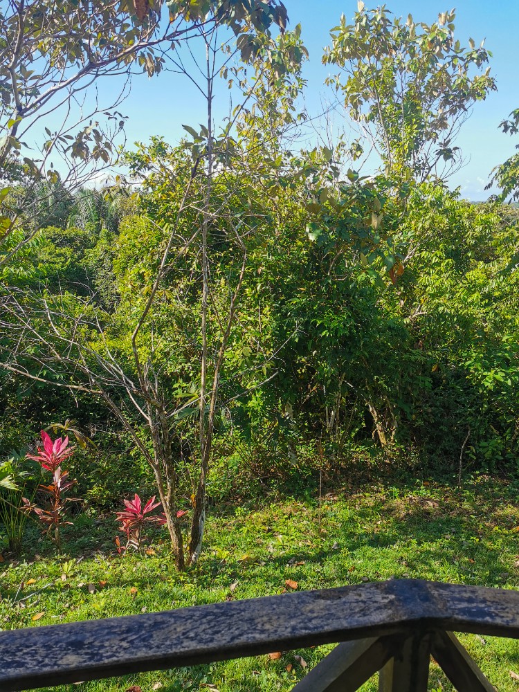 Traumhafter Ausblick von den Cabins