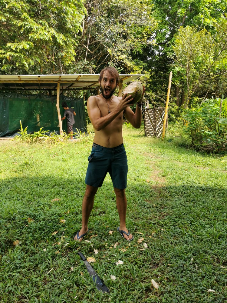 Marcus kann uns jetzt auch ernähren