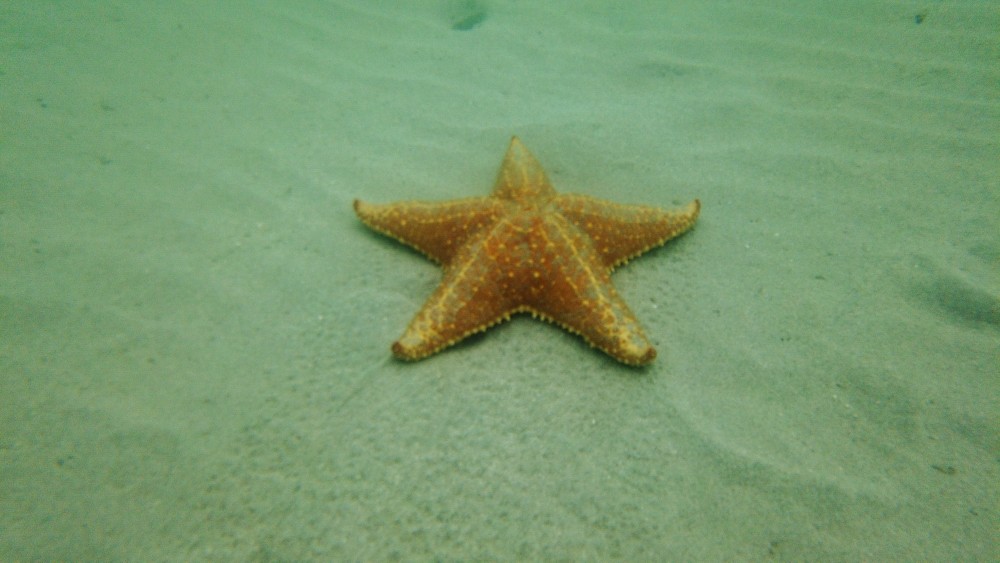Die "Playa Estrella" hält was sie verspricht