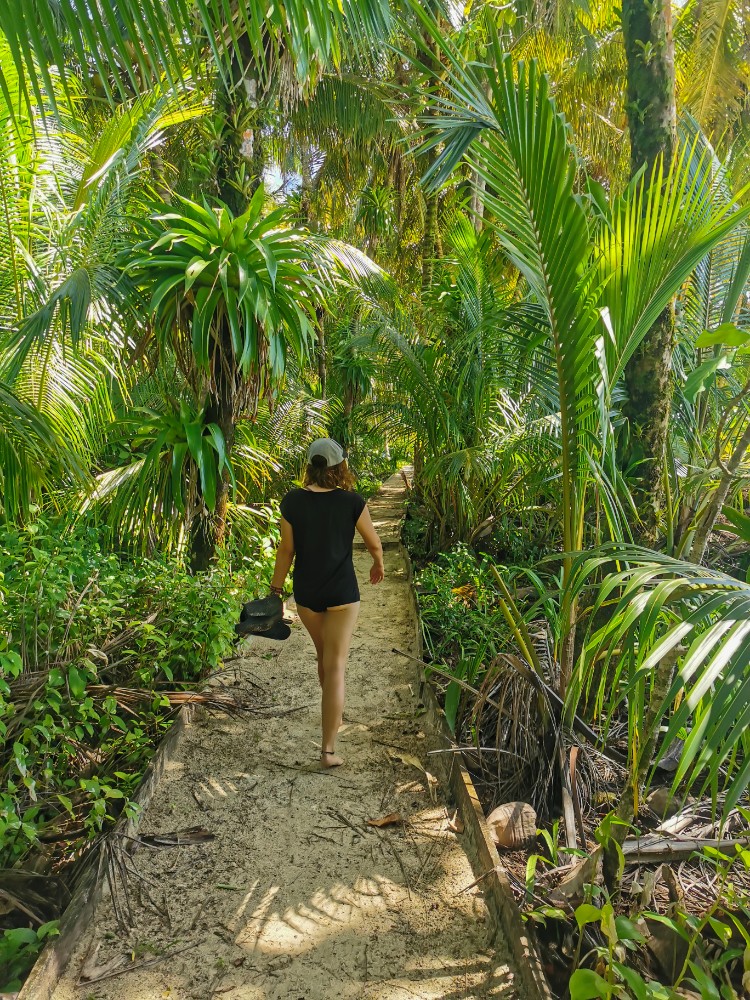 Der schattige Weg im Inneren der Insel