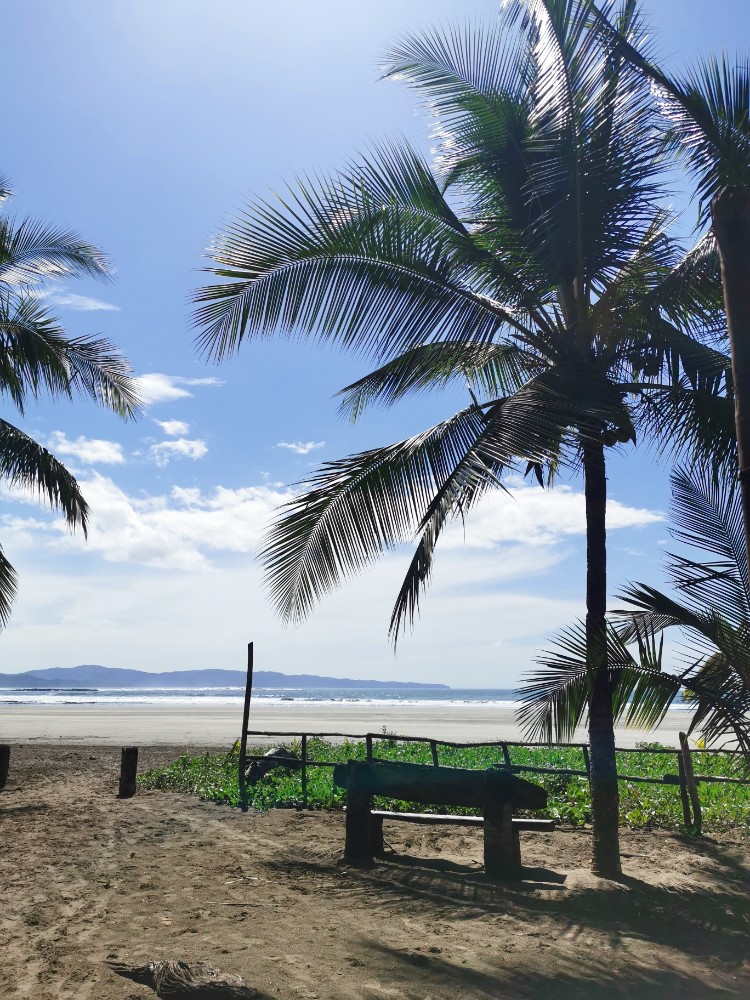 Der tolle Ausblick auf den Strand (leider bei Ebbe)