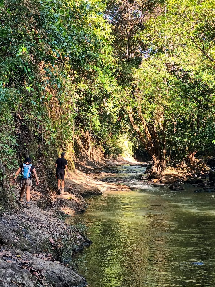Der Weg zurück am Fluss
