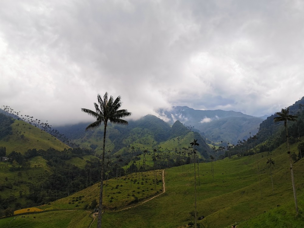 Das märchenhafte Cocora-Tal