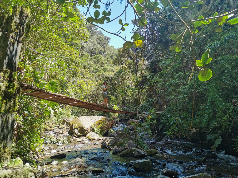 Eine Hängebrücke schöner als die Andere