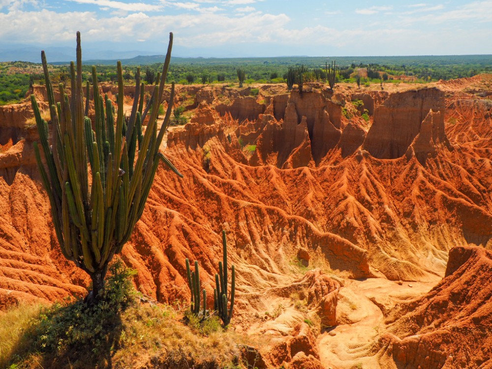 Die Wüste, umgeben von grüner Landschaft